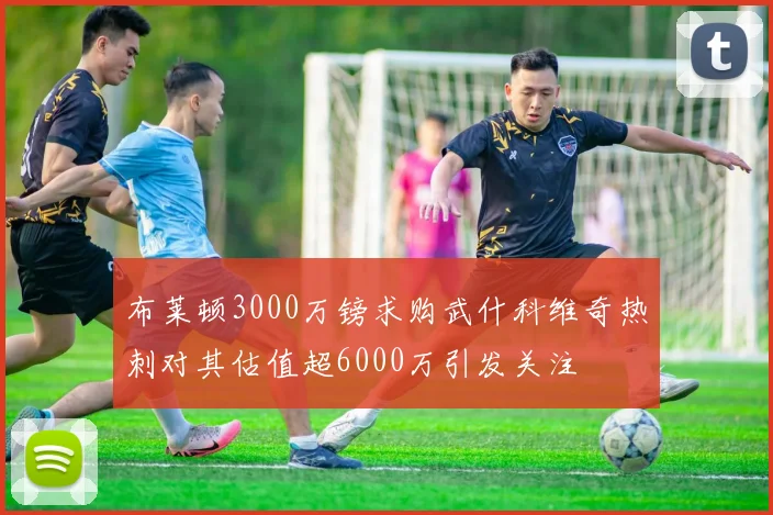 布莱顿3000万镑求购武什科维奇热刺对其估值超6000万引发关注